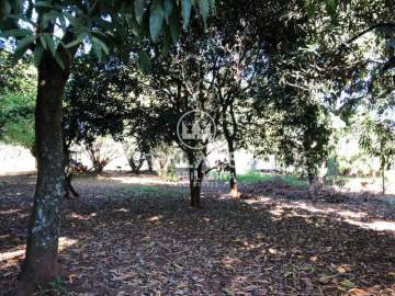Imperdível - Chácara 3189m² à venda Vila Nossa Senhora Aparecida, Piracicaba - R$ 700.000 - CH0178