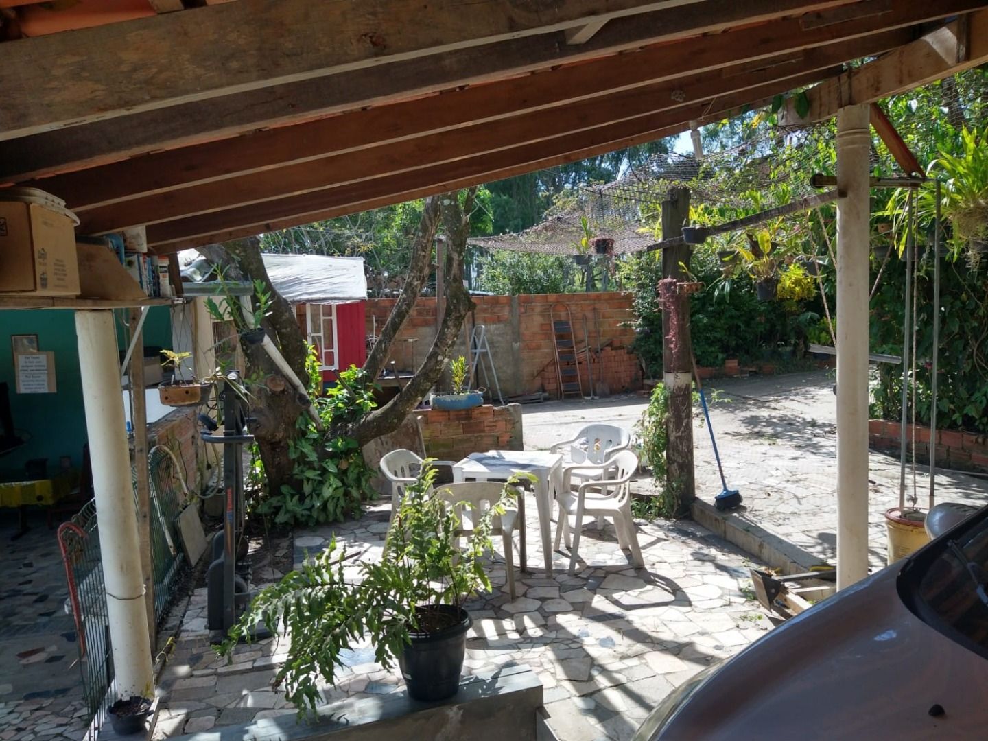 FOTO_1 - 1