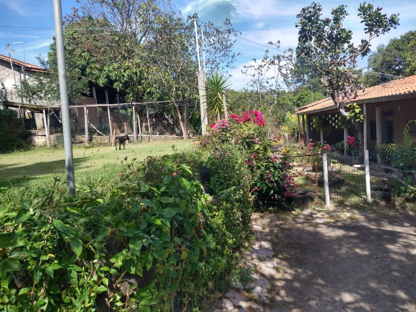FOTO_2 - 2