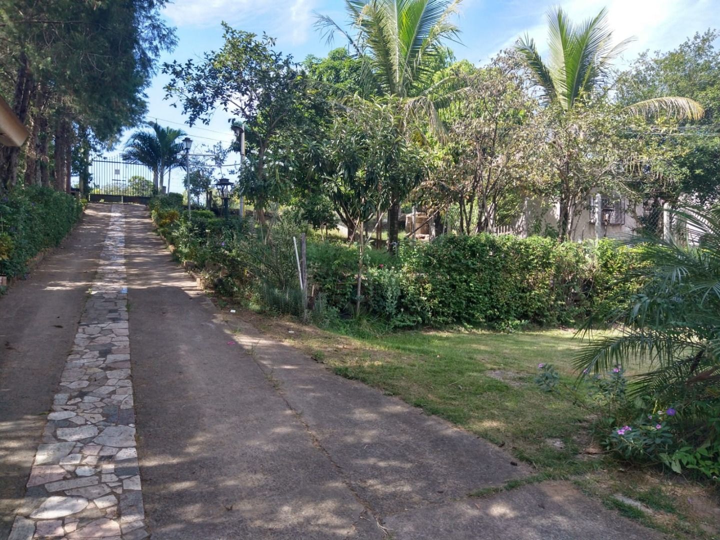 FOTO_5 - 5