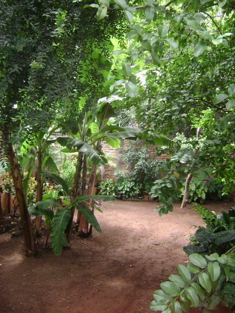 FOTO_14 - 14