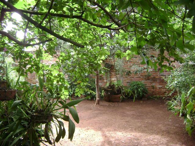FOTO_16 - 16