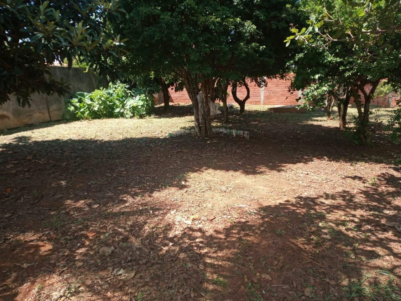 FOTO_1 - 1