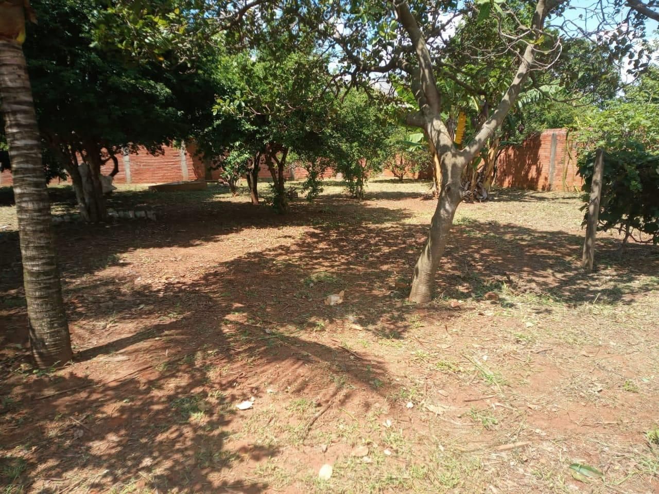 FOTO_2 - 2