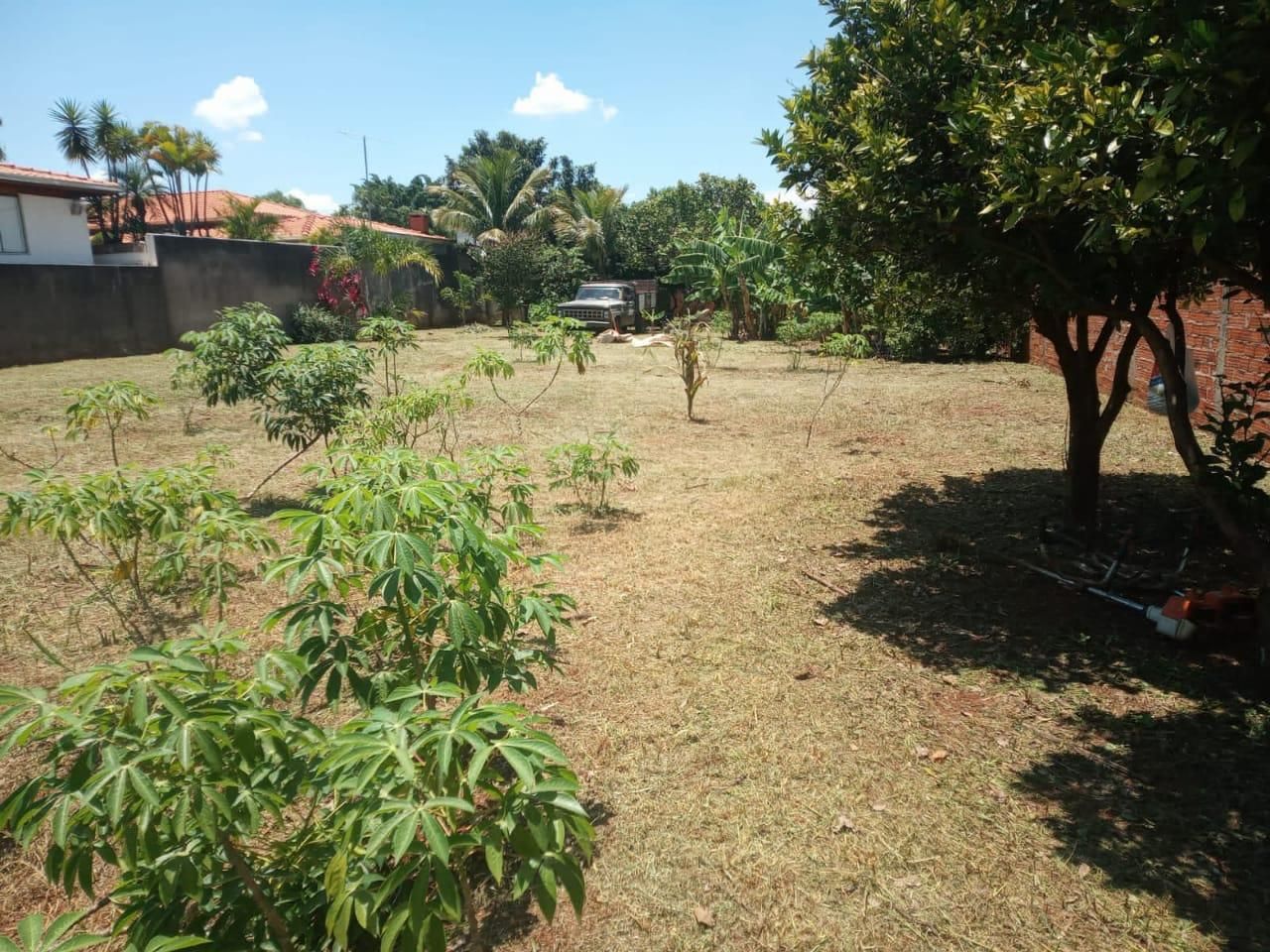 FOTO_3 - 3