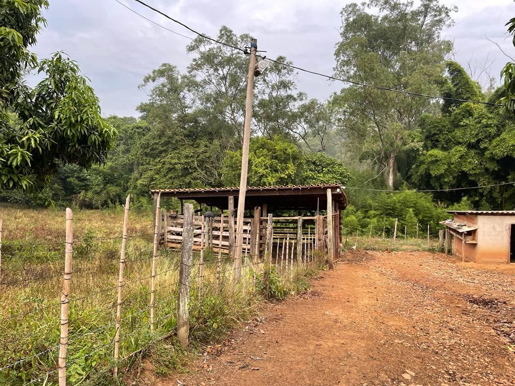 FOTO_11 - 11