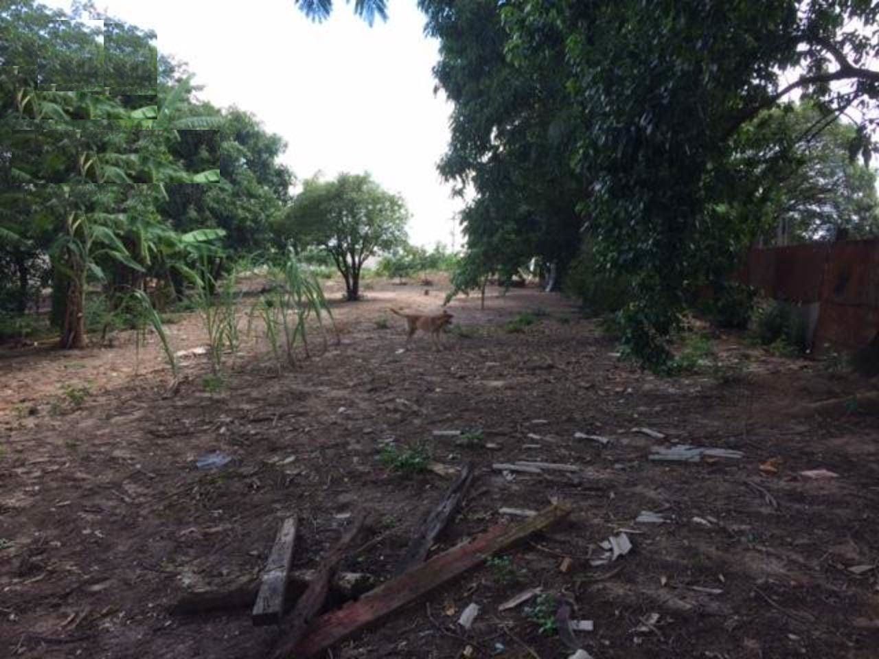 FOTO_1 - 1