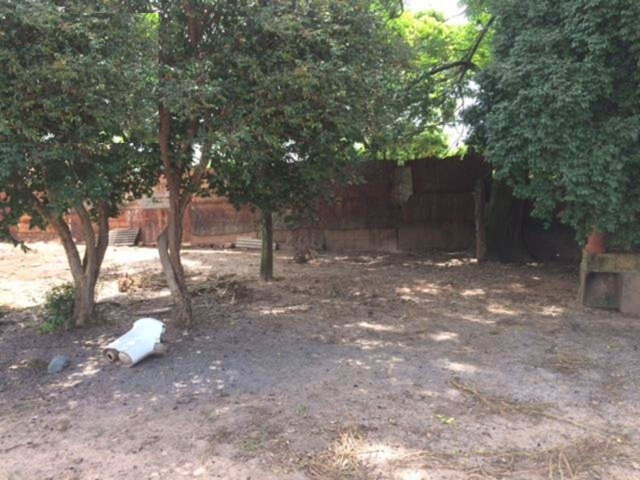 FOTO_2 - 2