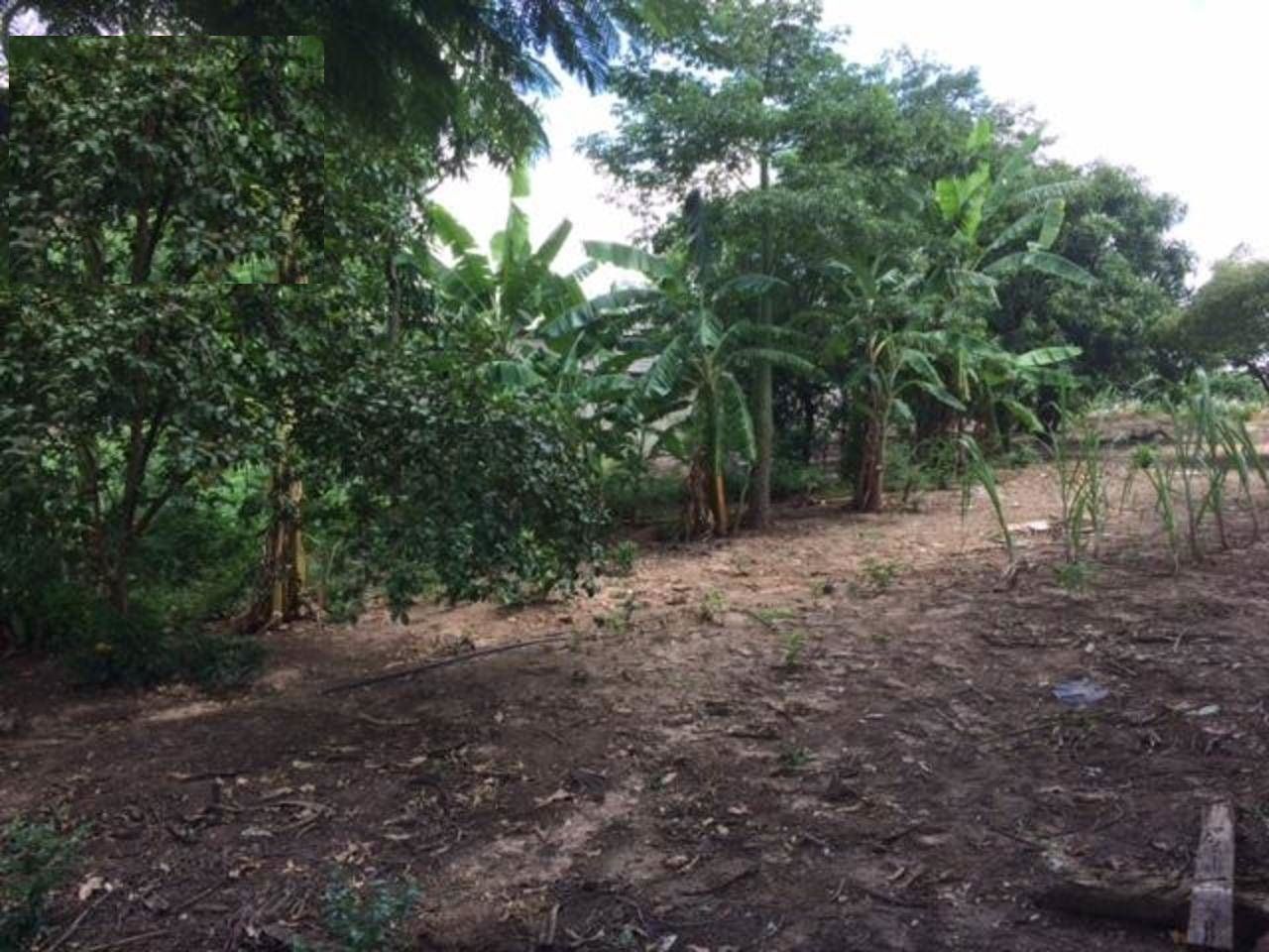 FOTO_6 - 6