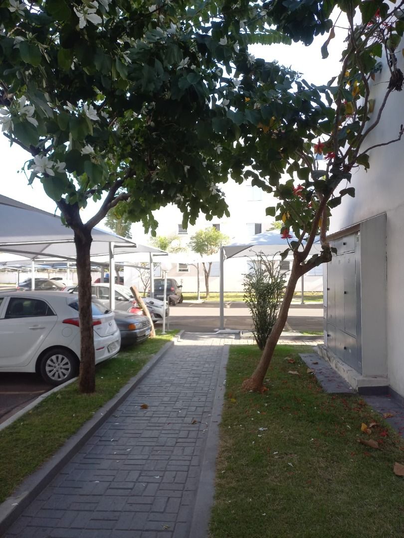 FOTO_9 - 9