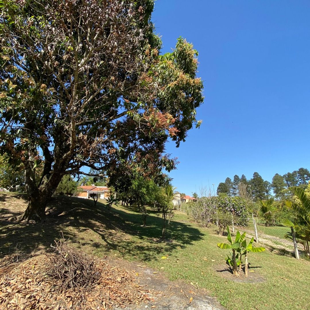 FOTO_5 - 5