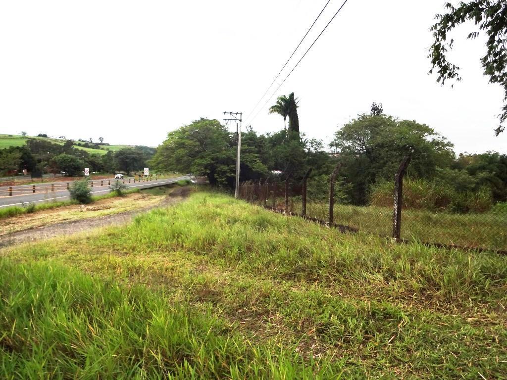 FOTO_12 - 12