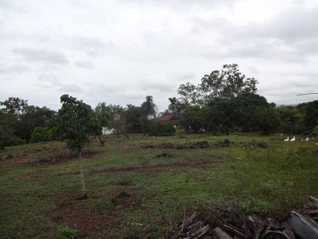 FOTO_13 - 13