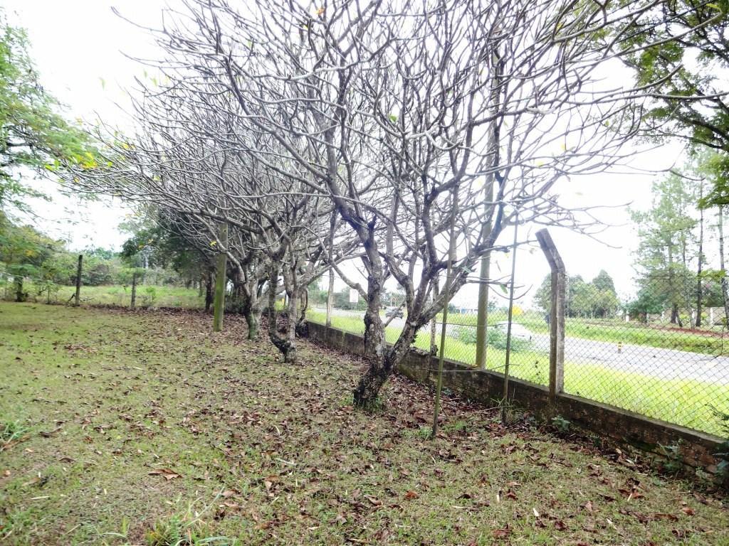 FOTO_8 - 8
