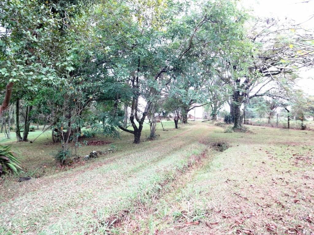 FOTO_9 - 9