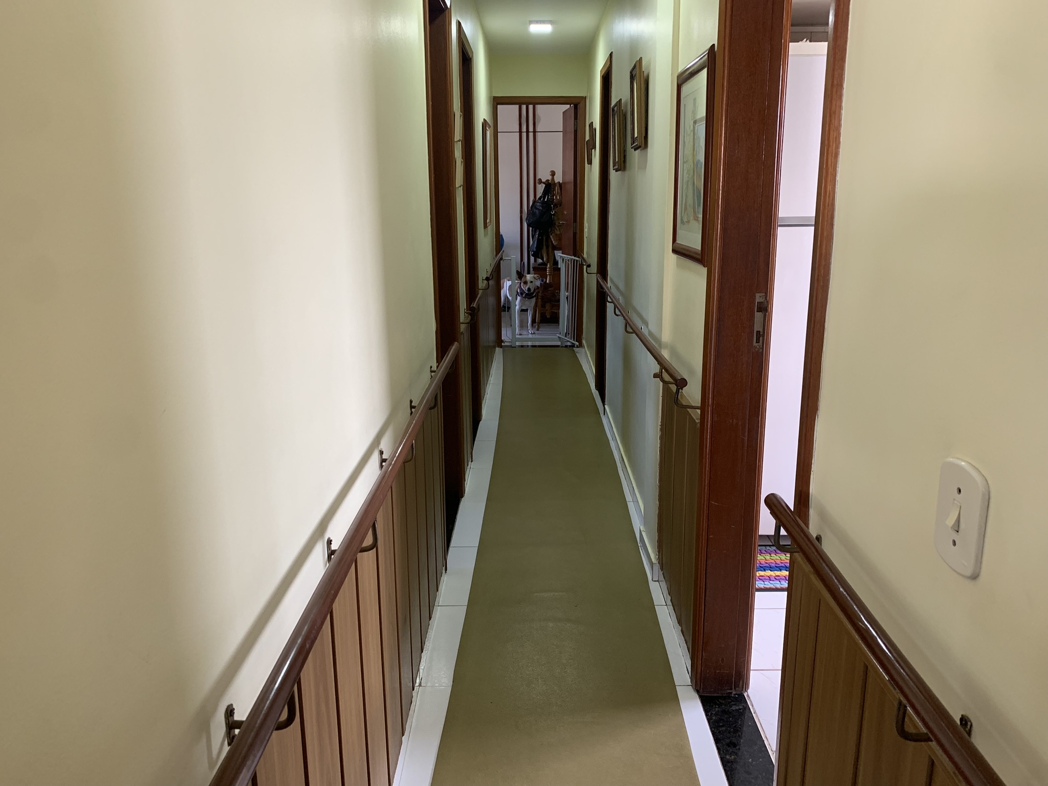 FOTO_6 - 6