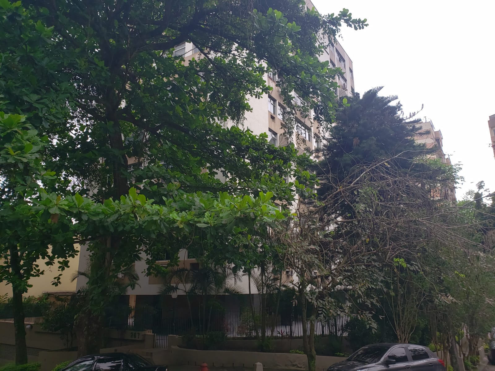 FOTO_12 - 12