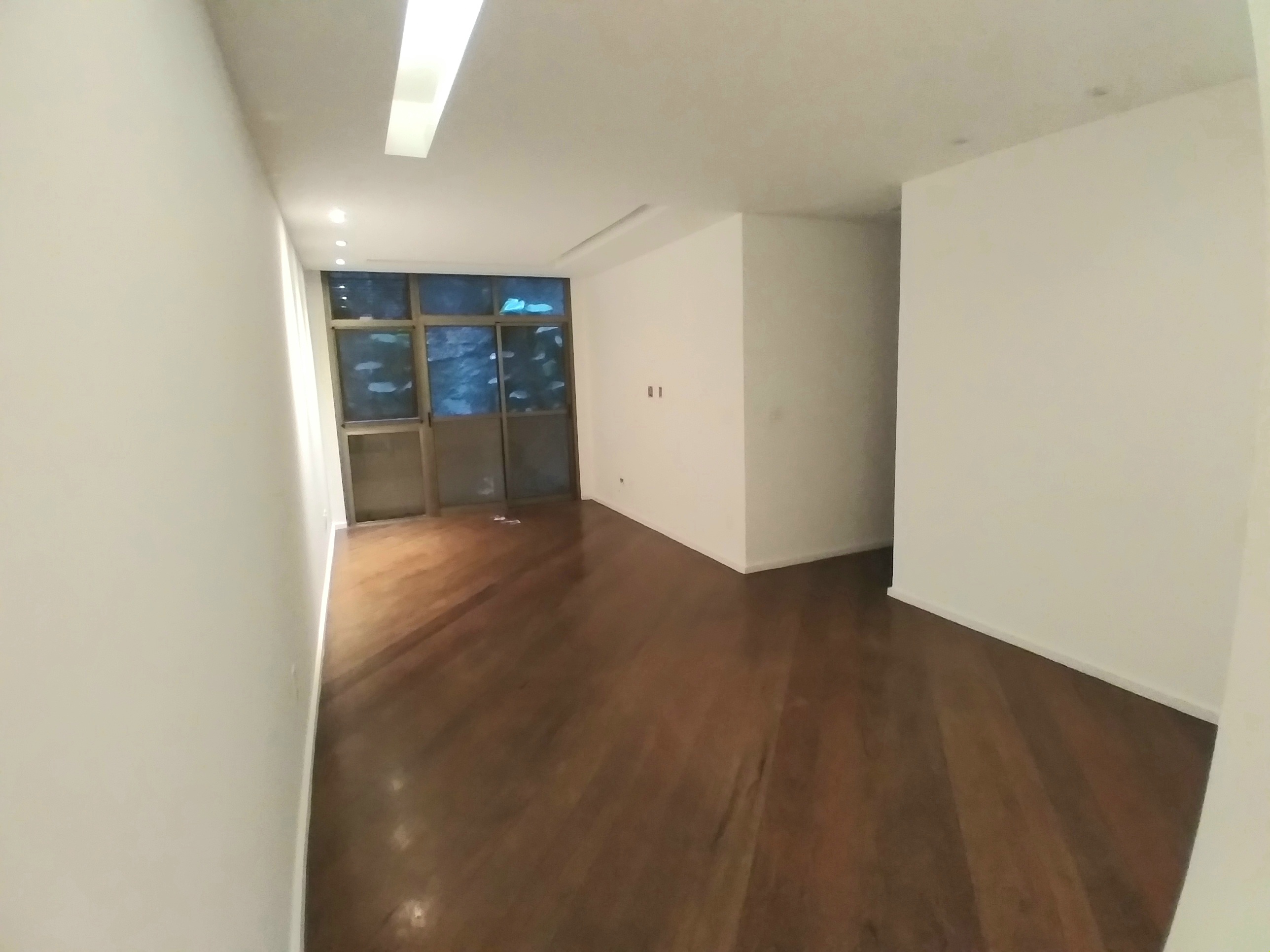 FOTO_1 - 1