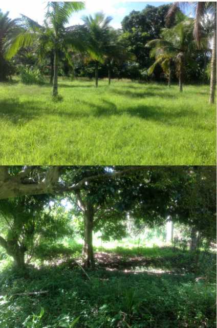 WhatsApp Image 2023-08-03 at 0 - 3