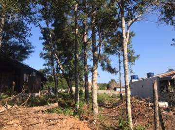 Lote à venda São João do Rio Vermelho, Florianópolis - R$ 170.000 - RLLT00011