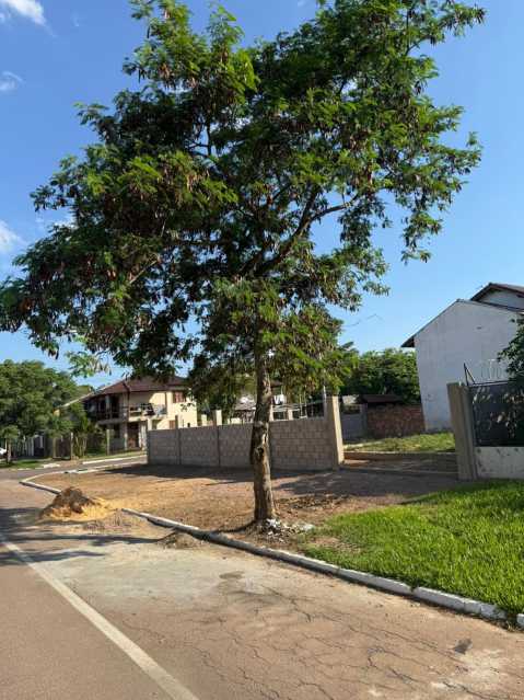 0a2b7357-23d2-46d1-9c33-cffeaa - 2