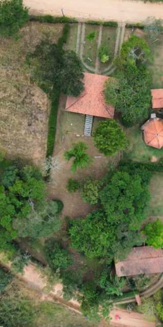 Lote 86 foto . - 2