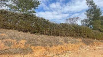 Lote à venda Arcozelo, Paty do Alferes - R$ 160.000 - CGLT00005