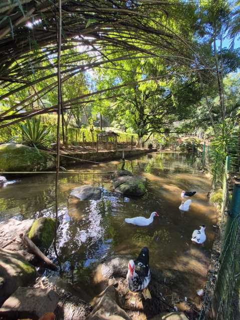 Conheça 13. do imóvel - Sítio em Cascata Nova Friburgo - 100m de rio - DNSI40001 - 13 13. - 13
