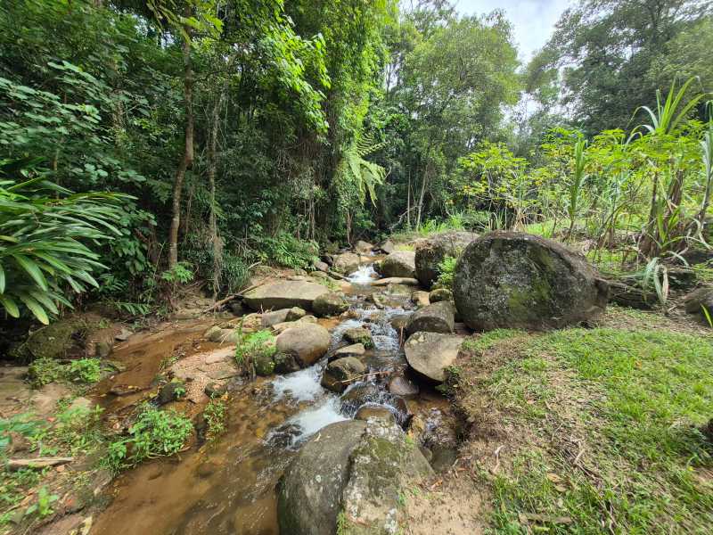Conheça 4. do imóvel - Sítio 6500m² à venda Lumiar, Nova Friburgo - R$ 700.000 - DNSI30002 - 4 4. - 4