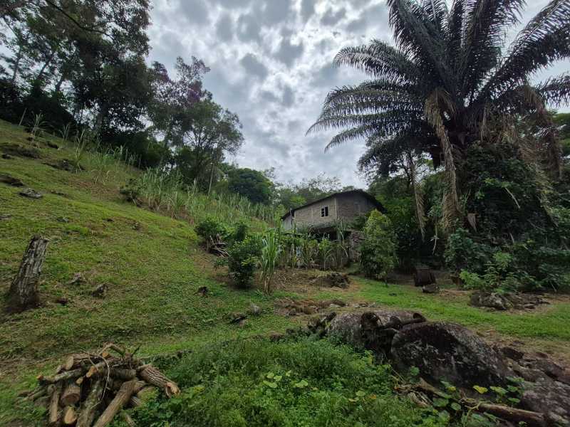 Conheça 15. do imóvel - Sítio 6500m² à venda Lumiar, Nova Friburgo - R$ 700.000 - DNSI30002 - 15 15. - 15