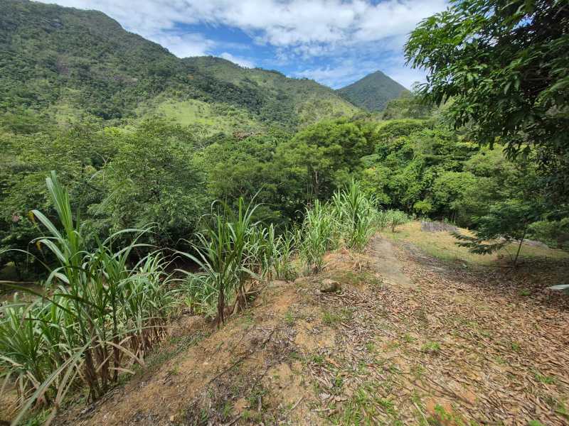 Conheça 18. do imóvel - Sítio 6500m² à venda Lumiar, Nova Friburgo - R$ 700.000 - DNSI30002 - 17 18. - 17