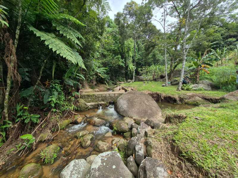 Conheça 20. do imóvel - Sítio 6500m² à venda Lumiar, Nova Friburgo - R$ 700.000 - DNSI30002 - 19 20. - 19