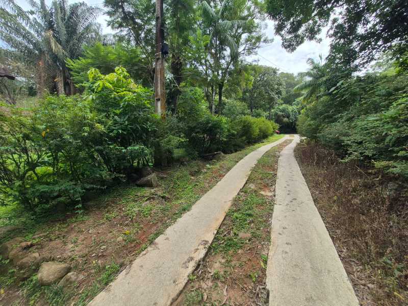 Conheça 21. do imóvel - Sítio 6500m² à venda Lumiar, Nova Friburgo - R$ 700.000 - DNSI30002 - 20 21. - 20