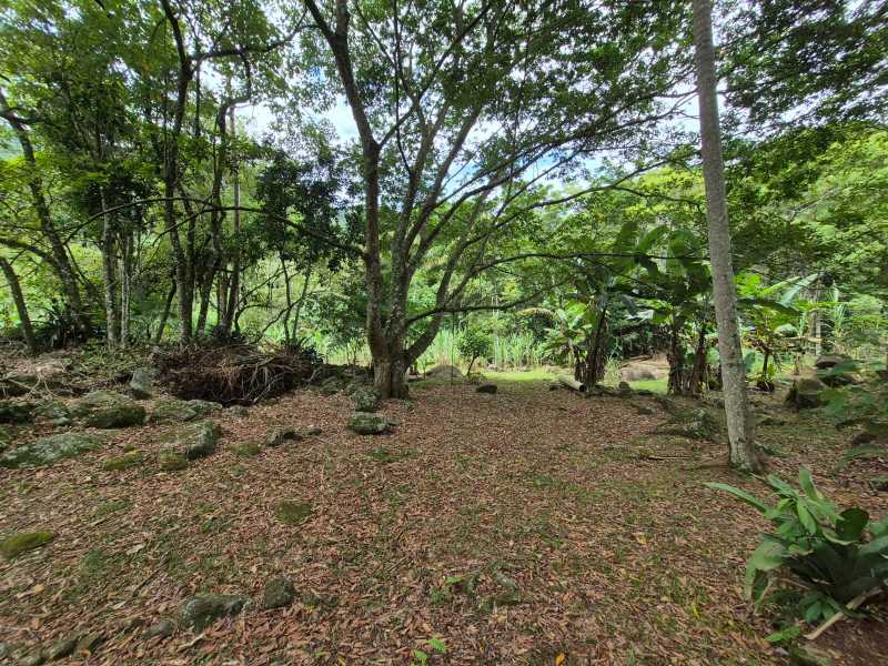 Conheça 23. do imóvel - Sítio 6500m² à venda Lumiar, Nova Friburgo - R$ 700.000 - DNSI30002 - 22 23. - 22