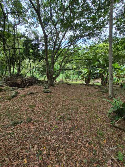 Conheça 29. do imóvel - Sítio 6500m² à venda Lumiar, Nova Friburgo - R$ 700.000 - DNSI30002 - 28 29. - 28