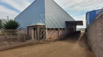 Galpão 1200m² para alugar Distrito Industrial Santo Barion, Marília - R$ 25.000 - CNGA00021