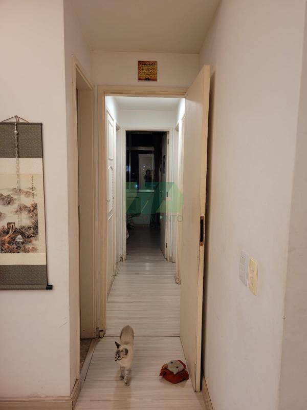 FOTO_8 - 8