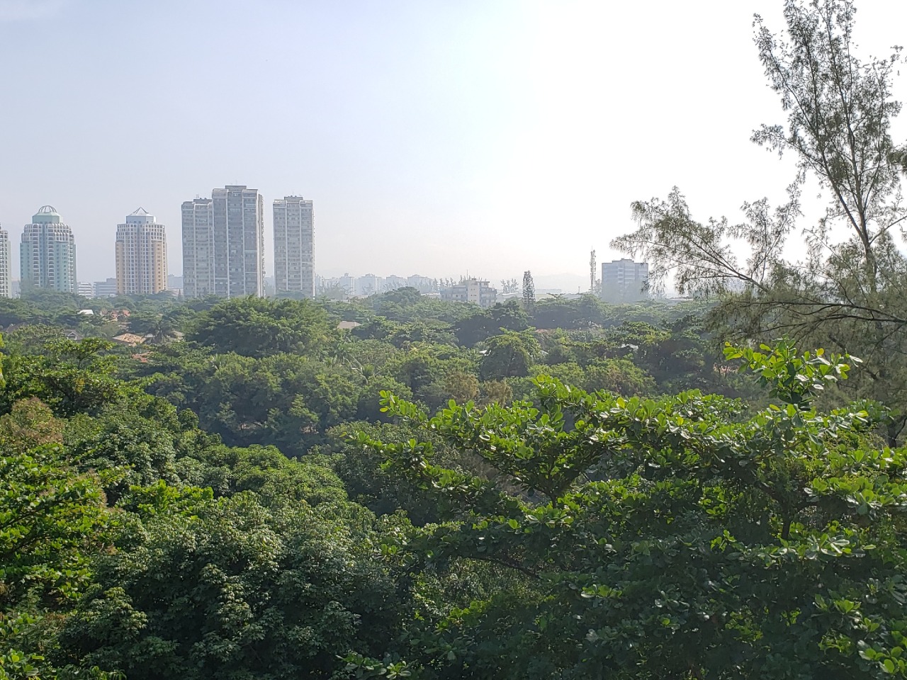 FOTO_4 - 4