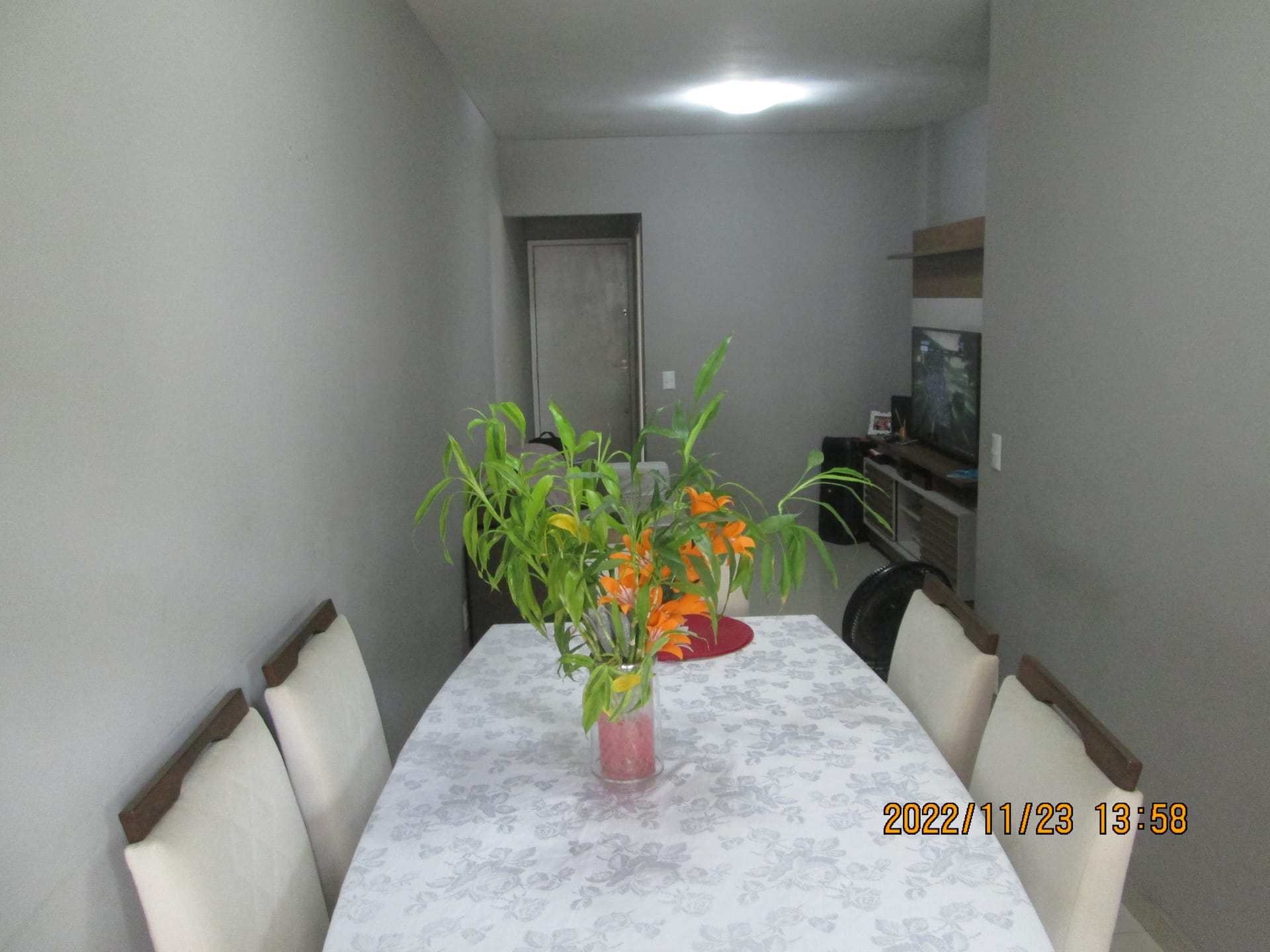 FOTO_8 - 8