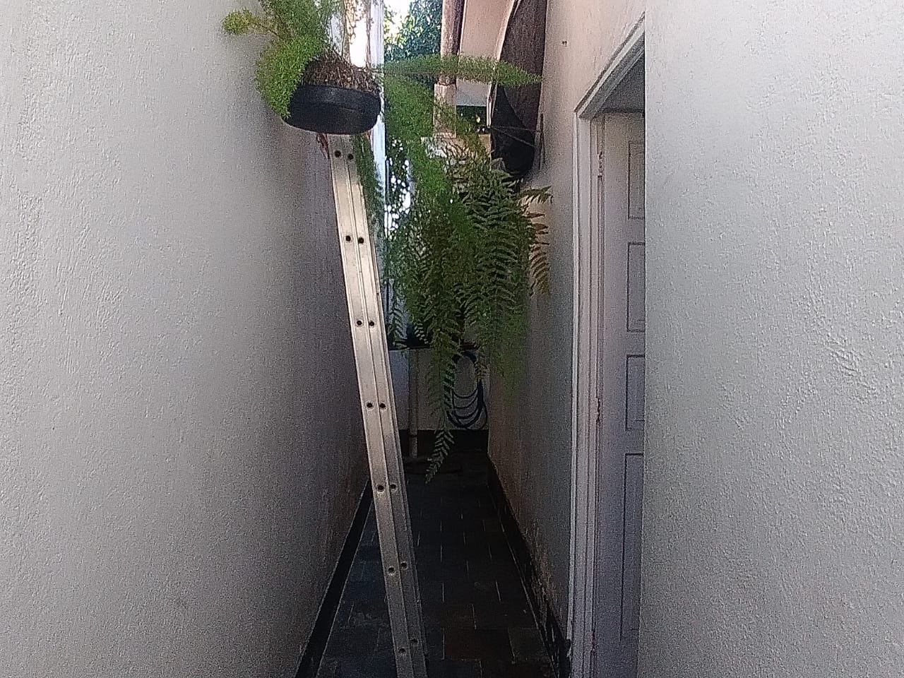 FOTO_4 - 4