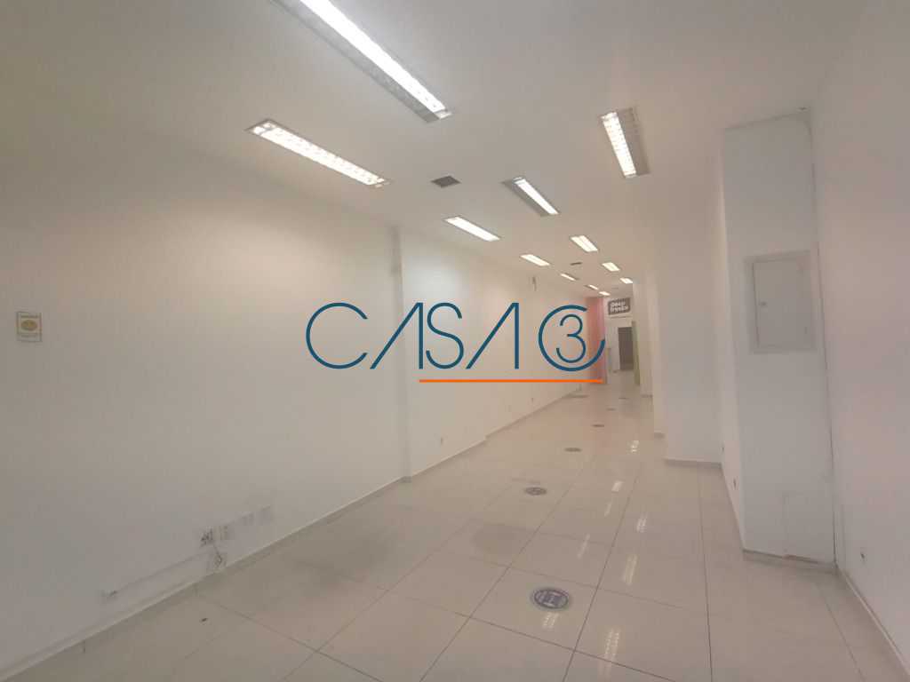 FOTO_11 - 11