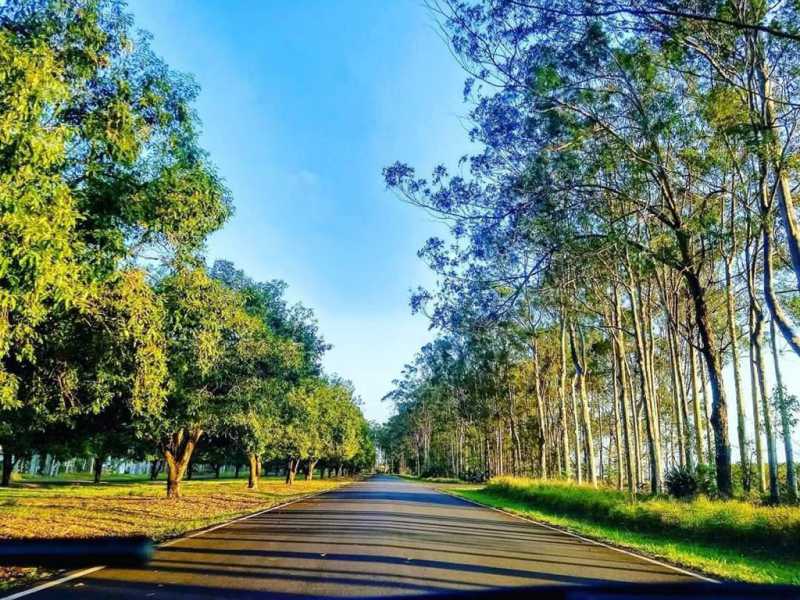 WhatsApp Image 2024-06-05 at 1 - 2