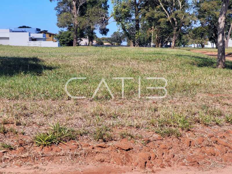 WhatsApp Image 2024-07-14 at 1 - 2