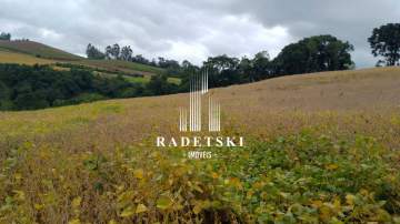 Ótima localização - Rural à venda Rural, Áurea - R$ 570.000 - RMTU00014