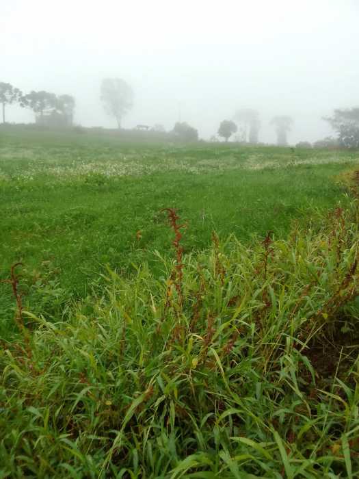 Foto 9. - 9