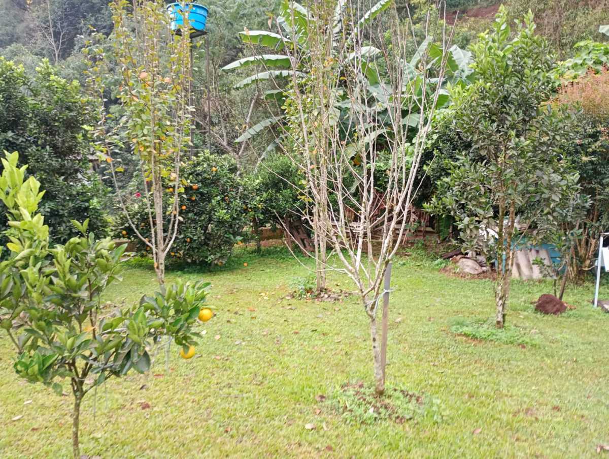 Foto 5. - 5