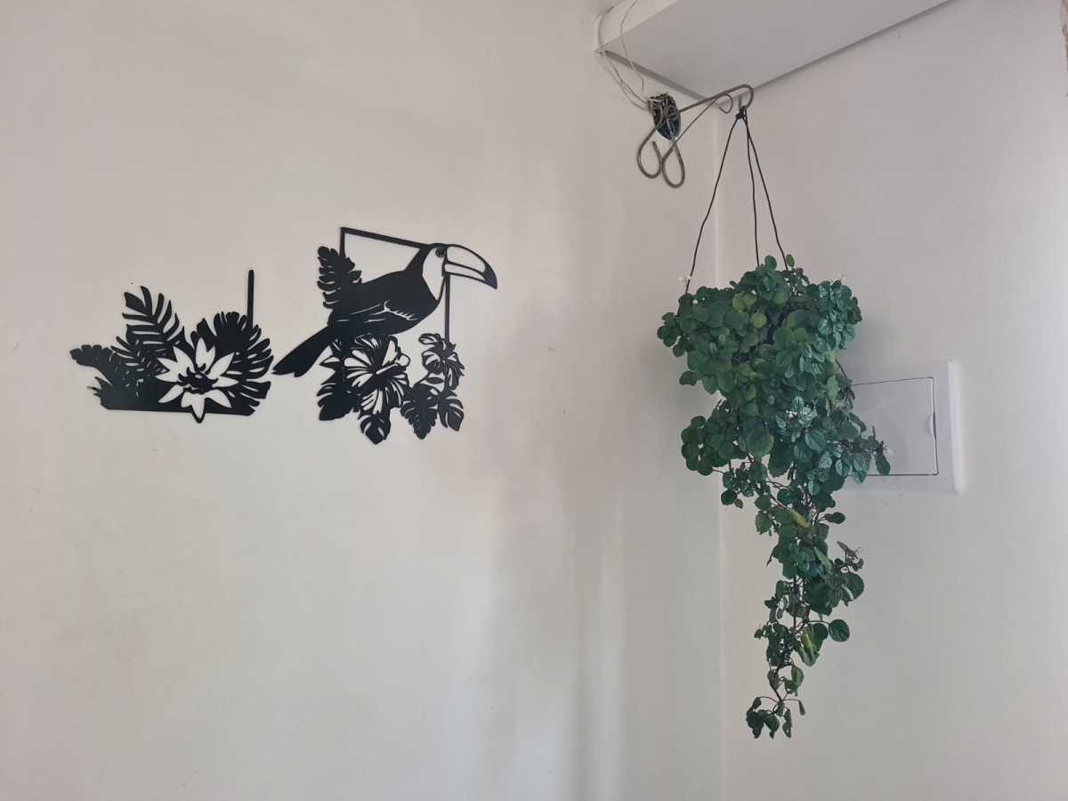 Foto 7. - 7
