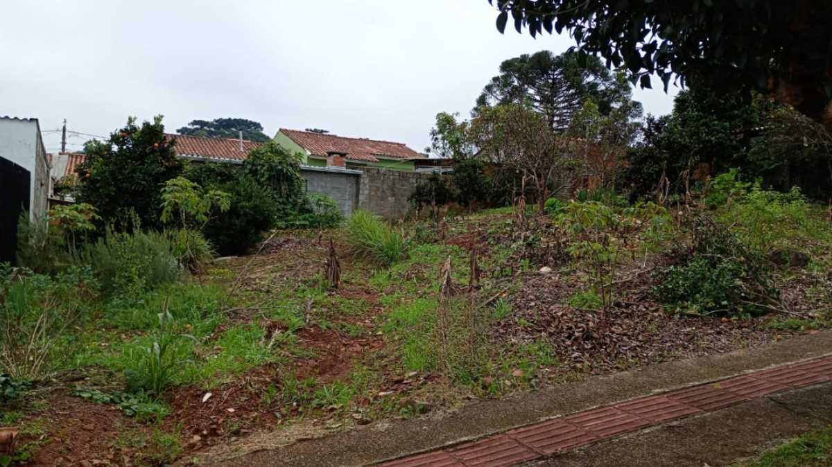 Foto - 1