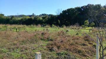 Rural à venda Rural, Gaurama - R$ 96.000 - RMTU00005