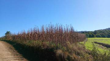 Rural à venda Rural, Gaurama - R$ 138.000 - RMTU00006